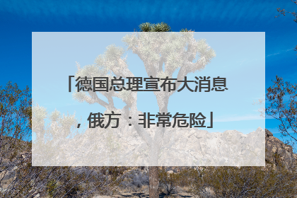 德国总理宣布大消息，俄方：非常危险