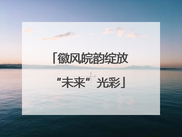 徽风皖韵绽放“未来”光彩