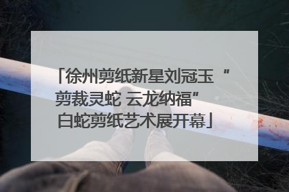 徐州剪纸新星刘冠玉“剪裁灵蛇 云龙纳福” 白蛇剪纸艺术展开幕