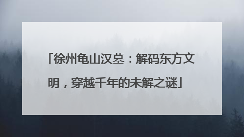 徐州龟山汉墓：解码东方文明，穿越千年的未解之谜