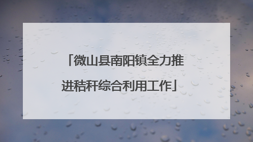 微山县南阳镇全力推进秸秆综合利用工作