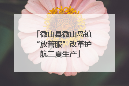 微山县微山岛镇“放管服”改革护航三夏生产