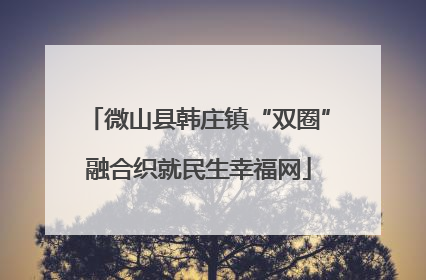 微山县韩庄镇“双圈”融合织就民生幸福网