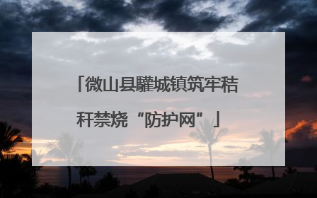 微山县驩城镇筑牢秸秆禁烧“防护网”