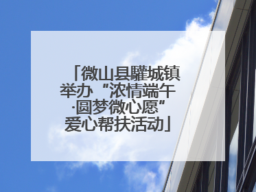 微山县驩城镇举办“浓情端午·圆梦微心愿”爱心帮扶活动