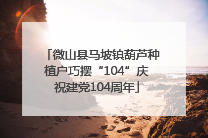 微山县马坡镇葫芦种植户巧摆“104”庆祝建党104周年