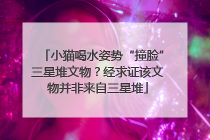 小猫喝水姿势“撞脸”三星堆文物？经求证该文物并非来自三星堆