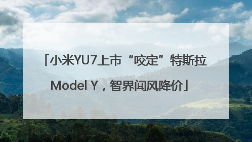 小米YU7上市“咬定”特斯拉Model Y，智界闻风降价