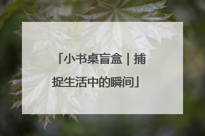 小书桌盲盒｜捕捉生活中的瞬间