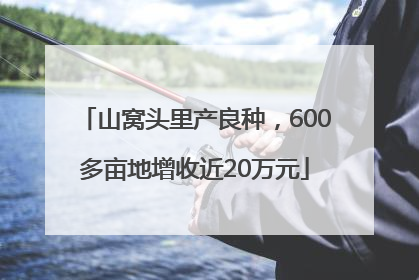 山窝头里产良种，600多亩地增收近20万元