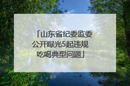 山东省纪委监委公开曝光5起违规吃喝典型问题