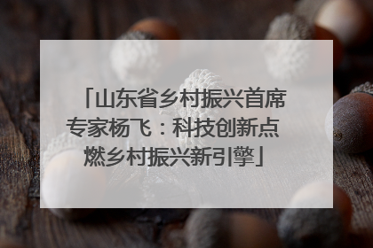 山东省乡村振兴首席专家杨飞：科技创新点燃乡村振兴新引擎