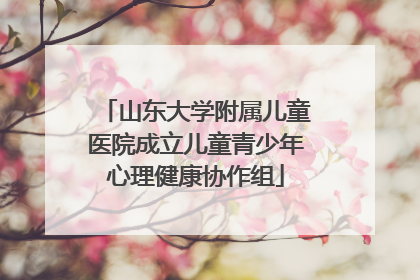 山东大学附属儿童医院成立儿童青少年心理健康协作组
