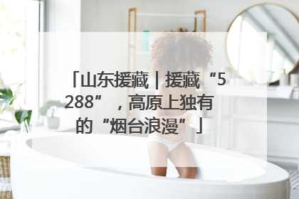 山东援藏｜援藏“5288”，高原上独有的“烟台浪漫”