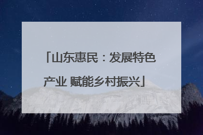 山东惠民：发展特色产业 赋能乡村振兴
