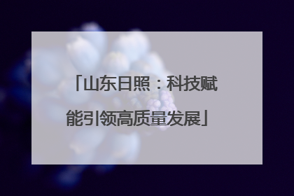 山东日照：科技赋能引领高质量发展