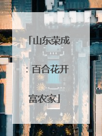 山东荣成：百合花开富农家