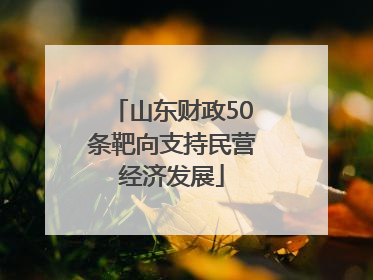 山东财政50条靶向支持民营经济发展