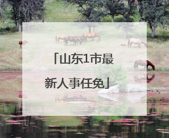 山东1市最新人事任免