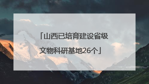 山西已培育建设省级文物科研基地26个