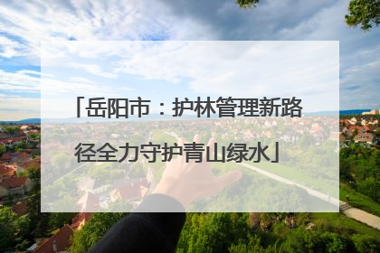岳阳市：护林管理新路径全力守护青山绿水