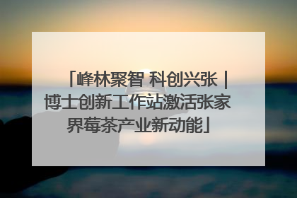 峰林聚智 科创兴张｜博士创新工作站激活张家界莓茶产业新动能
