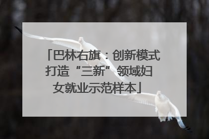 巴林右旗：创新模式 打造“三新”领域妇女就业示范样本