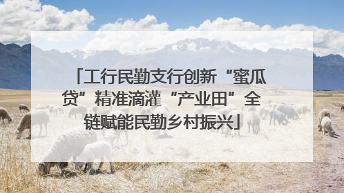 工行民勤支行创新“蜜瓜贷”精准滴灌“产业田”全链赋能民勤乡村振兴