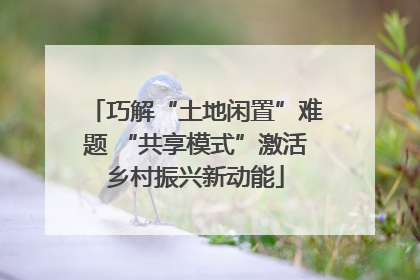 巧解“土地闲置”难题 “共享模式”激活乡村振兴新动能
