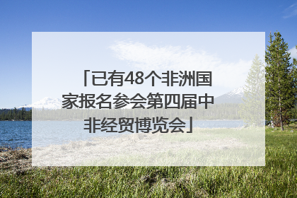 已有48个非洲国家报名参会第四届中非经贸博览会