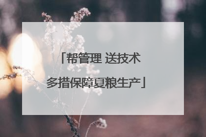 帮管理 送技术 多措保障夏粮生产