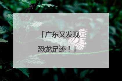 广东又发现恐龙足迹！
