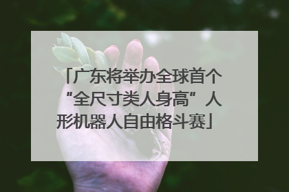 广东将举办全球首个“全尺寸类人身高”人形机器人自由格斗赛
