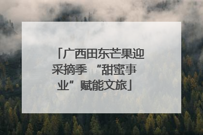 广西田东芒果迎采摘季 “甜蜜事业”赋能文旅