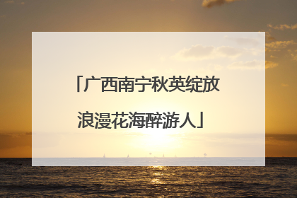 广西南宁秋英绽放 浪漫花海醉游人