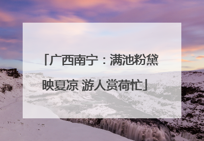 广西南宁：满池粉黛映夏凉 游人赏荷忙