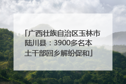 广西壮族自治区玉林市陆川县：3900多名本土干部回乡解纷促和