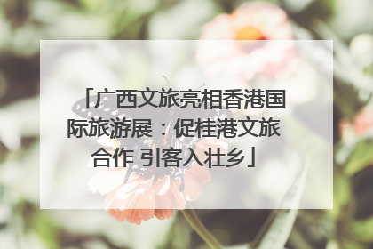 广西文旅亮相香港国际旅游展：促桂港文旅合作 引客入壮乡