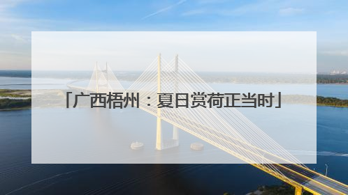 广西梧州：夏日赏荷正当时
