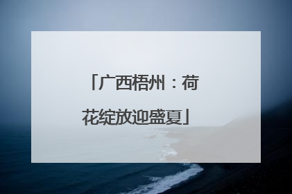 广西梧州：荷花绽放迎盛夏