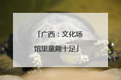 广西：文化场馆里童趣十足