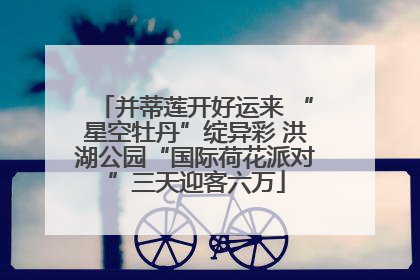并蒂莲开好运来 “星空牡丹”绽异彩 洪湖公园“国际荷花派对”三天迎客六万