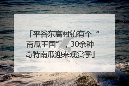 平谷东高村镇有个“南瓜王国”，30余种奇特南瓜迎来观赏季