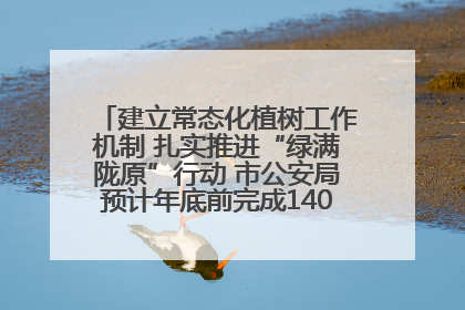 建立常态化植树工作机制 扎实推进“绿满陇原”行动 市公安局预计年底前完成1402亩绿化任务