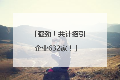 强劲！共计招引企业632家！