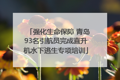 强化生命保障 青岛93名引航员完成直升机水下逃生专项培训