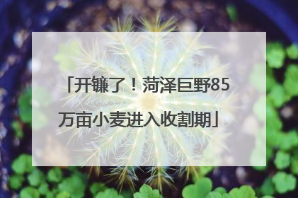 开镰了！菏泽巨野85万亩小麦进入收割期