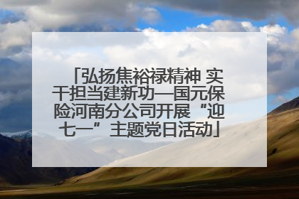 弘扬焦裕禄精神 实干担当建新功—国元保险河南分公司开展“迎七一”主题党日活动