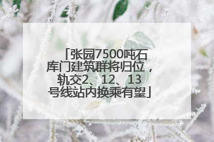 张园7500吨石库门建筑群将归位，轨交2、12、13号线站内换乘有望