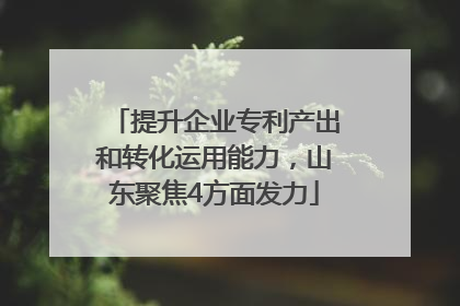 提升企业专利产出和转化运用能力，山东聚焦4方面发力
